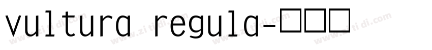 vultura regula字体转换